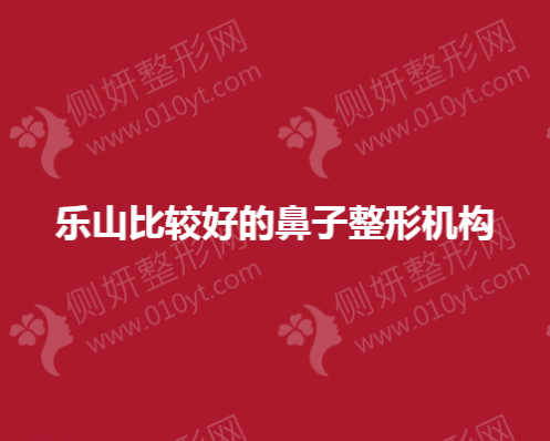 乐山比较好的鼻子整形机构