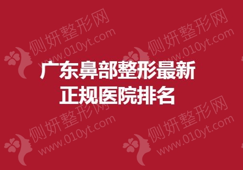 广东鼻部整形最新正规医院排名