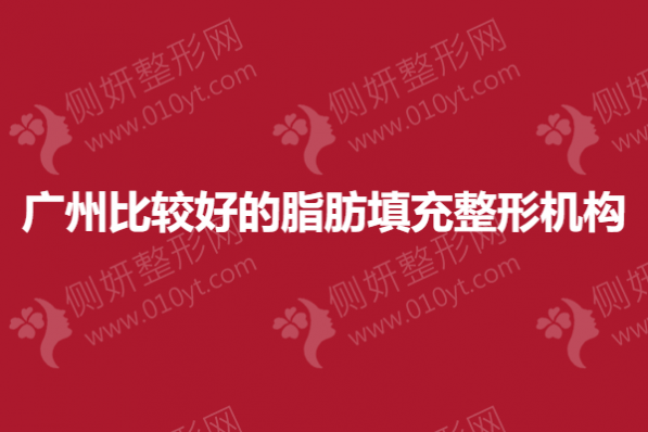 广州比较好的脂肪填充整形机构