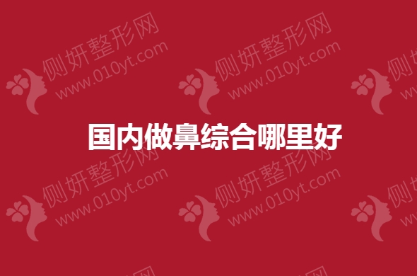 国内做鼻综合哪里好