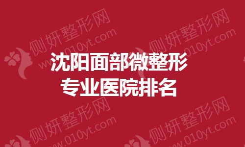 沈阳面部微整形专业医院排名榜