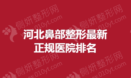河北鼻部整形最新正规医院排名