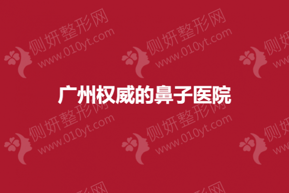 广州权威的鼻子医院