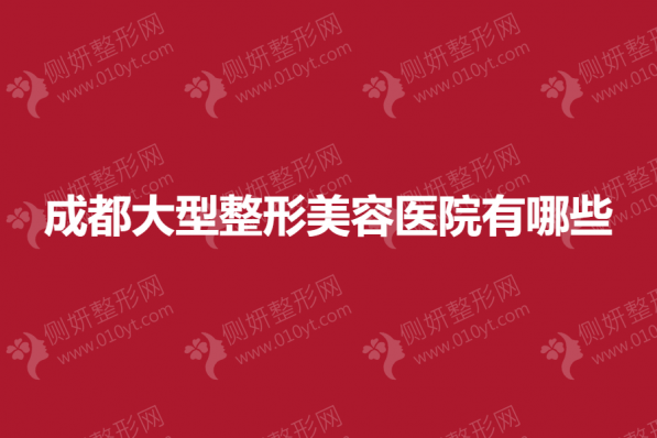 成都大型整形美容医院有哪些
