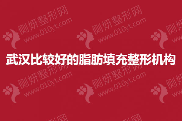 武汉比较好的脂肪填充整形机构