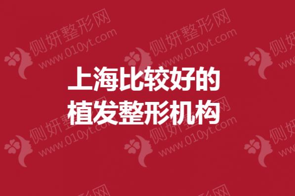 上海比较好的植发整形机构
