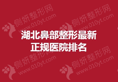 湖北鼻部整形最新正规医院排名