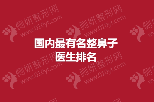 国内最有名整鼻子医生排名