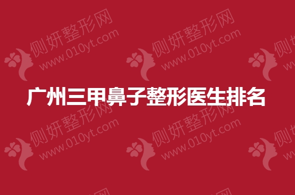 广州三甲鼻子整形医生排名