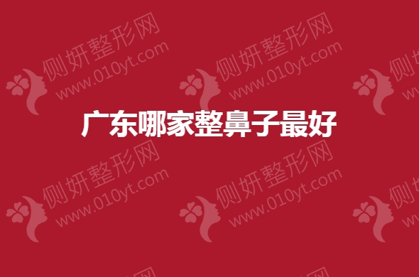 广东哪家整鼻子最好