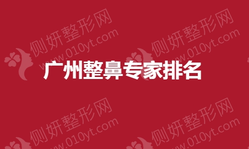 广州整鼻专家排名