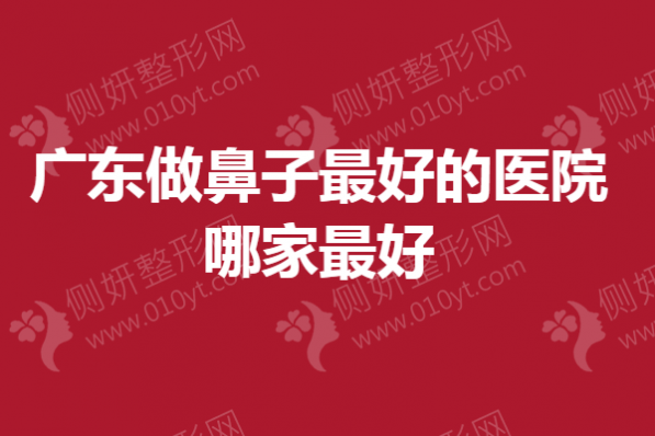 广东做鼻子最好的医院哪家最好