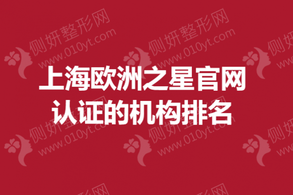 上海欧洲之星官网认证的机构排名榜