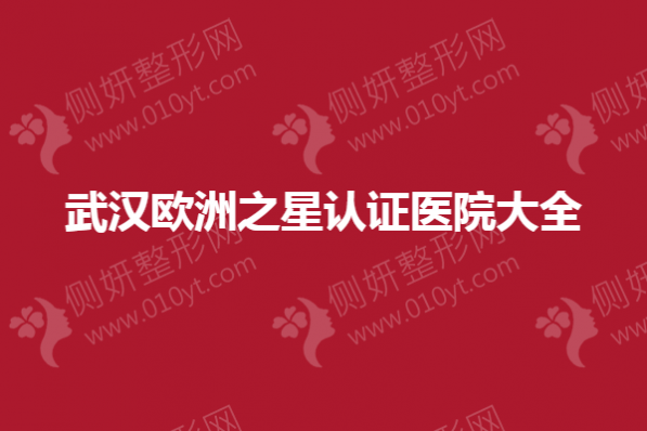 武汉市欧洲之星认证医院大全