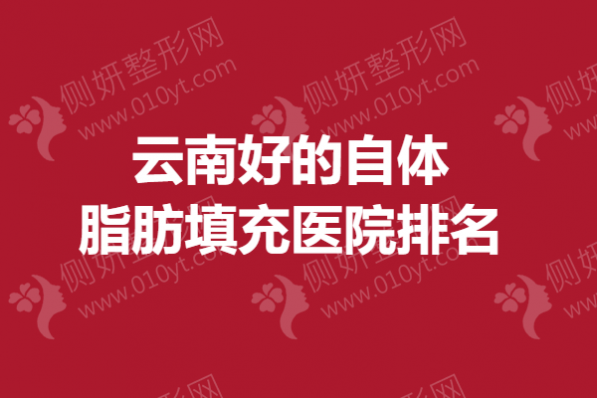 云南好的自体脂肪填充医院排名