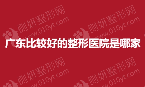 广东比较好的整形医院是哪家