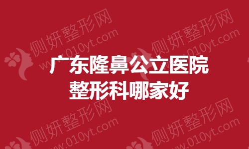 广东隆鼻公立医院整形科哪家好
