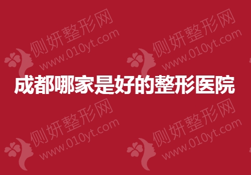 成都哪家是好的整形医院