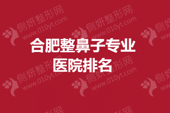 合肥整鼻子专业医院排名