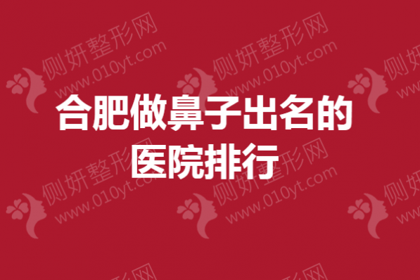 合肥做鼻子出名的医院排行