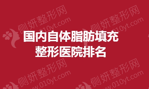 国内自体脂肪填充整形医院排名
