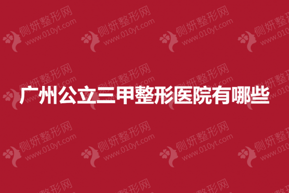 广州公立三甲整形医院有哪些