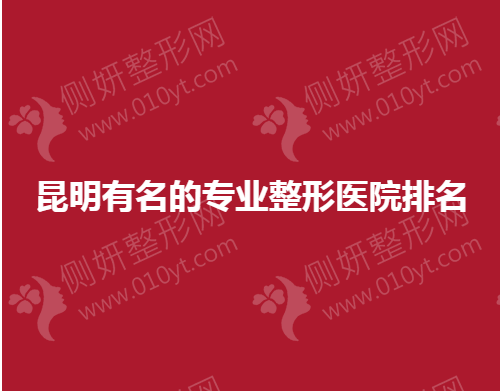 昆明有名的专业整形医院排名