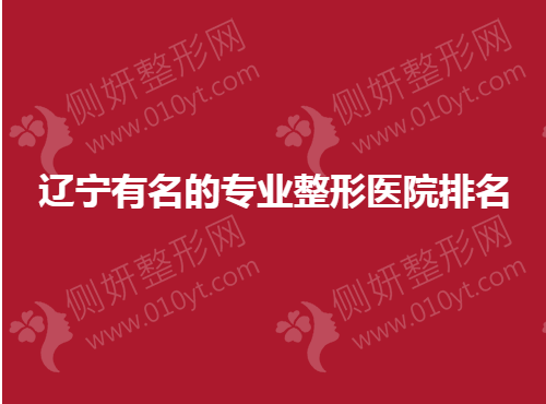 辽宁有名的专业整形医院排名