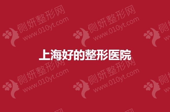 上海好的整形美容医院是哪家