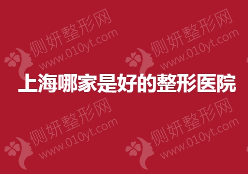 上海哪家是好的整形医院