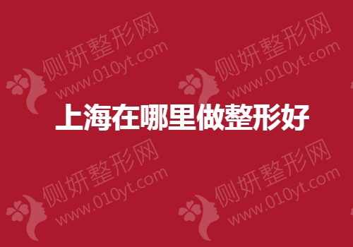 上海在哪里做整形好