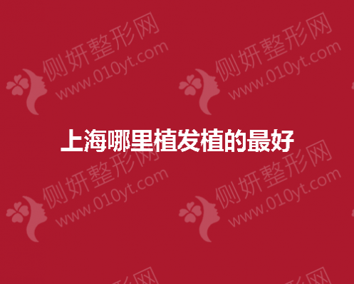 上海哪里植发植的最好